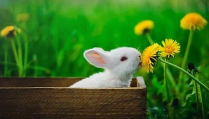 今年黑料网今日网红黑料诡异的点不在内容而在链接跳转